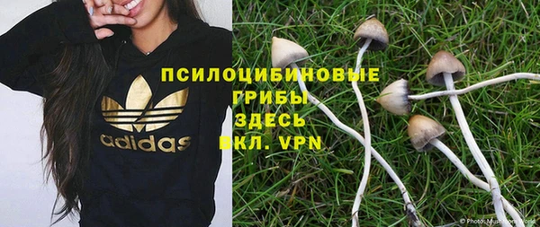 трава Беломорск