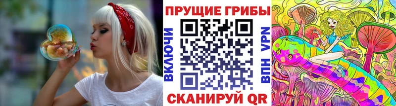 Псилоцибиновые грибы Psilocybine cubensis  Балей 