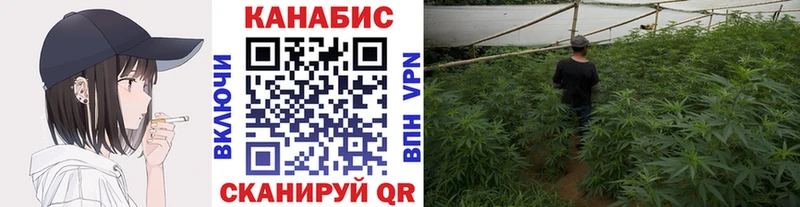 купить   Балей  гидра ССЫЛКА  shop как зайти  Конопля ГИДРОПОН 